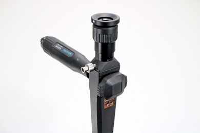 Withled Ent30pc