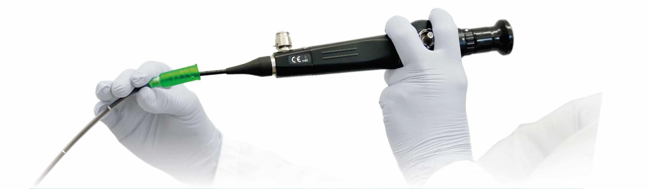 Cover-ENT-EN-brochure2024-1